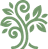 Kogno